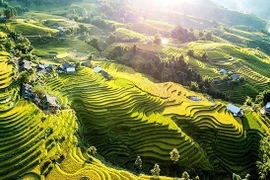 沙巴以雄伟壮丽的自然景观、多样丰富的民族文化以及热闹非凡的高原集市，持续吸引着追求真实而深度体验的游客。（图片来源：Unsplash-Denis Sobnako）