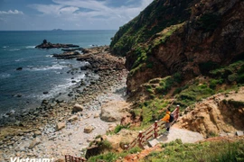 嘉莱省归仁东坊奇窝景点。