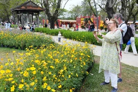 顺化市富春坊的春节鲜花装饰空间吸引众多国际游客参观拍照。（图片来源：越通社）