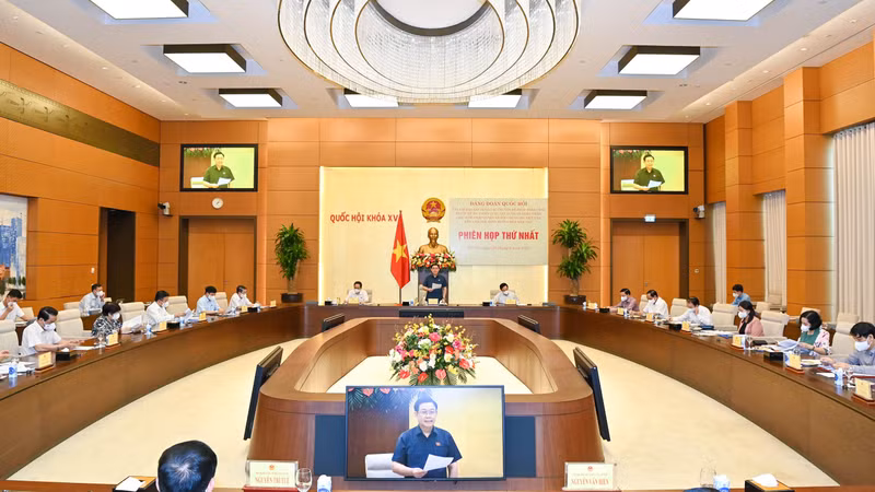 会议场景。（维玲 摄）