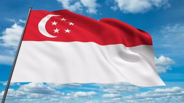 附图：新加坡国旗。