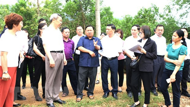 文山州委代表团参观河江省渭川县风光乡的出口甘蔗种植模式。（图片来源：越通社）