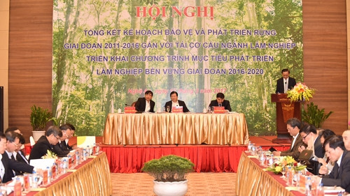 会议全景。（图片来源：VGP）