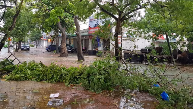义安省荣市遭强降雨。