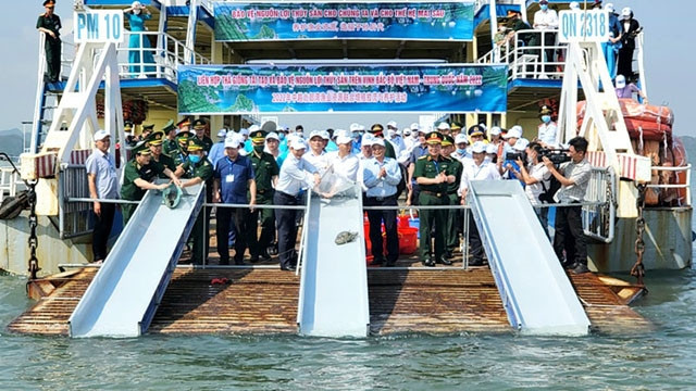 北部湾海域放流鱼苗、虾苗近800多万尾。（图片来源：广宁省报）