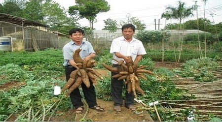 附图。