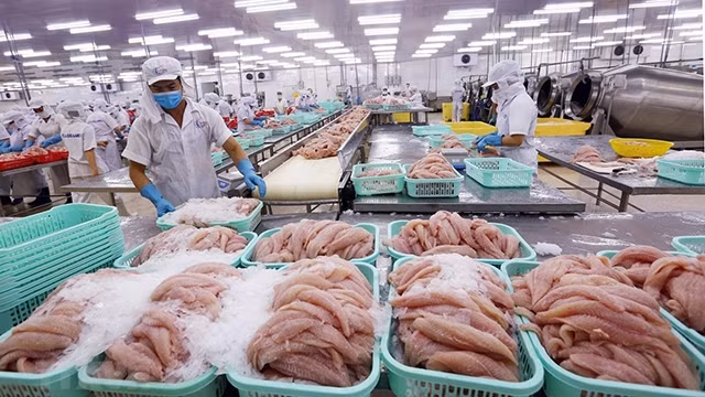 美国仍是越南商品的潜在市场，出口空间很大。