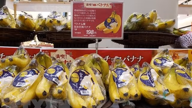 越南香蕉在埼玉县永旺湖城超市出售。（图片来源：越通社）