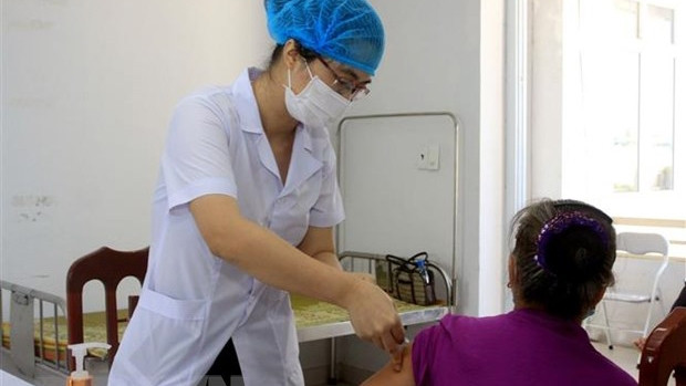 越南新冠疫苗covivac二期临床试验在太平省启动。（图片来源：越通社）