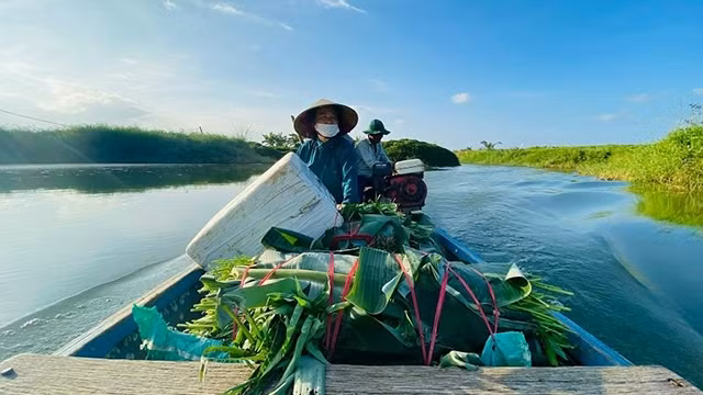 人民茶曲江漫滩的“游牧”生活。（图片来源：东玄 摄）