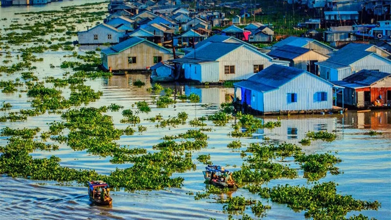 九龙江三角洲地区拥有多样化和独特的生态系统。