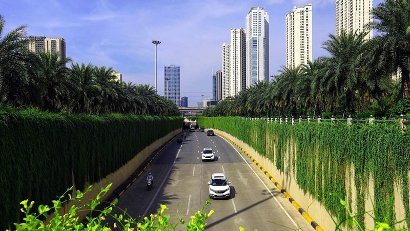 首都河内各条道路种满绿树。（图片来源：越通社）