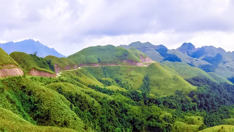 漫长的道路，草原似的绿草。（图片来源：广宁报）
