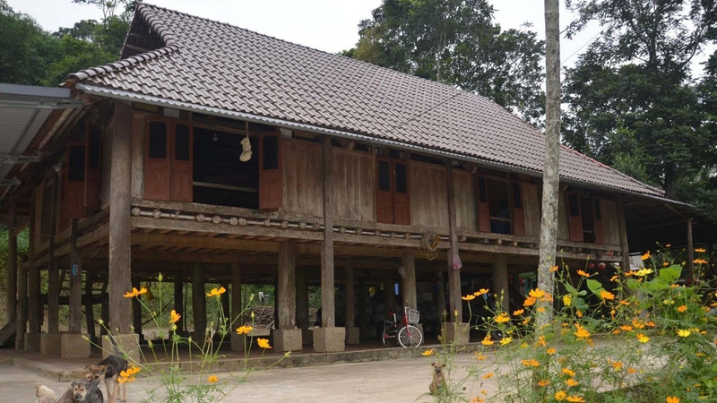 凊化省芒族人高脚屋的建筑特色。（图片来源：图片来源：越通社）