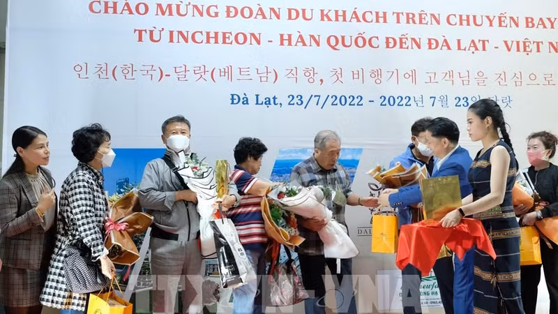 至林同省大叻市的国际航线恢复运营。