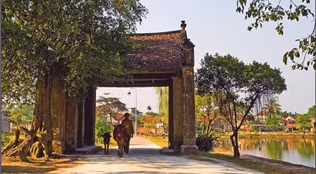 唐林古村的村门。