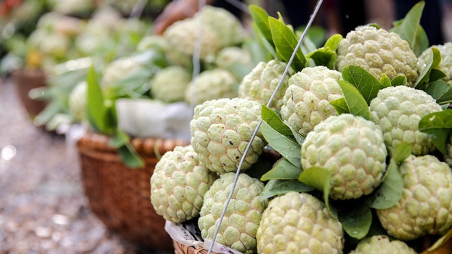 芝陵番荔枝上架电商平台。