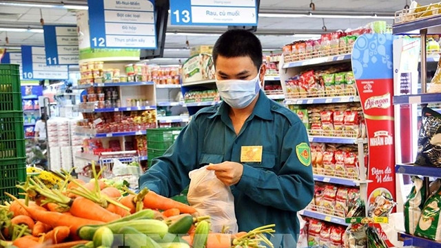 附图。（图片来源：越通社）