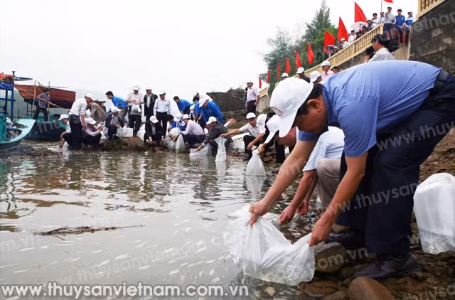 水产苗种放养活动已经成为广泛的社会运动。