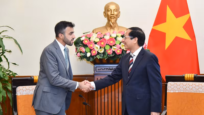 越南外长裴青山会见阿联酋外交与国际合作部部长助理阿卜杜纳赛尔·沙利。