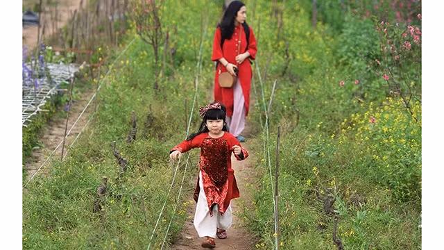 河内除夕，一名小朋友穿着传统长衣与亲人一起参观日新花园，留下春节美好纪念。（图片来源：水原 摄）