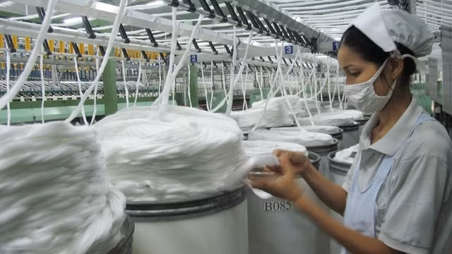 附图。（图片来源：年轻人报）