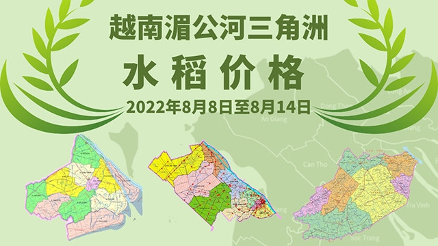 越南湄公河三角洲水稻价格【图表新闻】