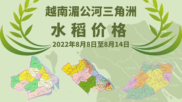 越南湄公河三角洲水稻价格【图表新闻】