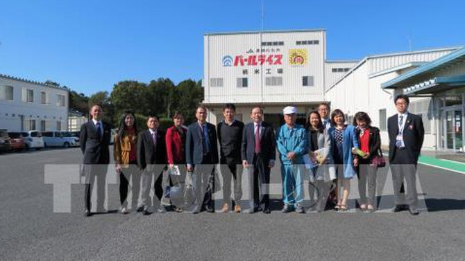 越南合作社联盟主席阮玉宝一行走访日本农业合作社之一。（图片来源：越通社）
