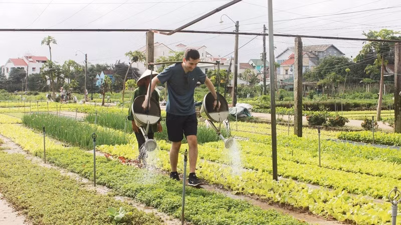 附图：越南广南省和岘港市为迎接国际游客做好准备。
