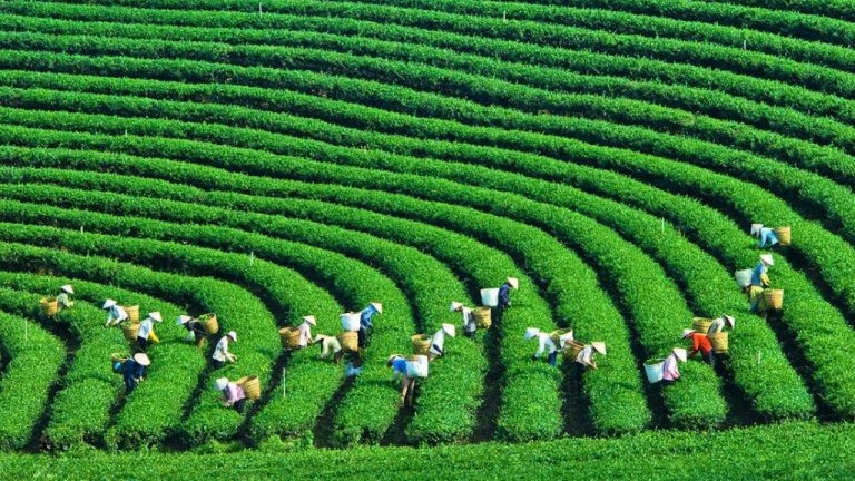 附图。