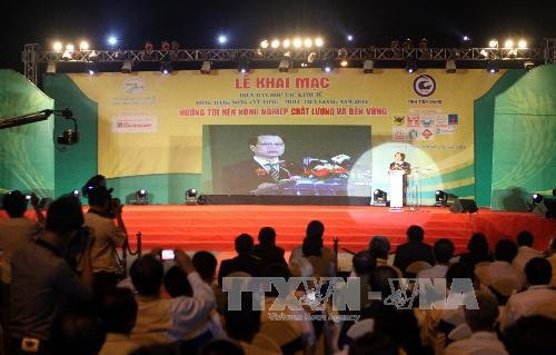 2012年前江省九龙江三角洲经济合作论坛的开幕仪式。 (Photo: 图片来源：越通社)