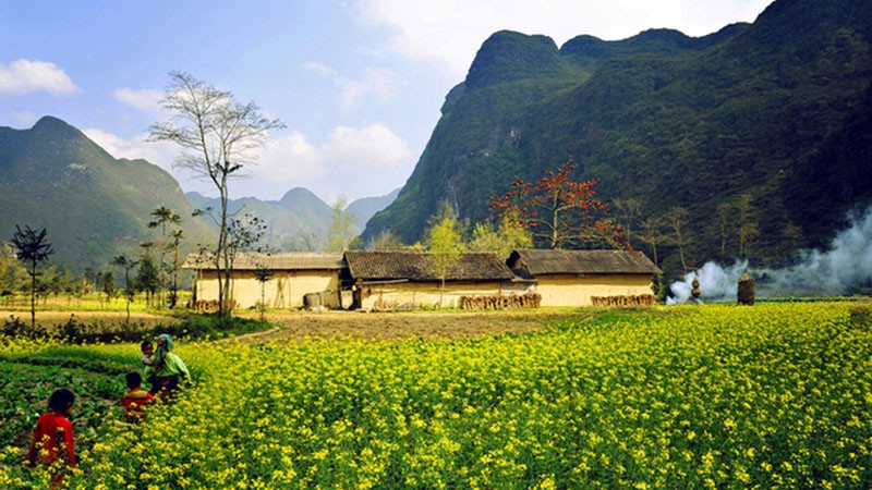 附图。