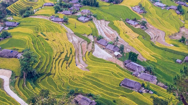 黄树皮梯田一角。