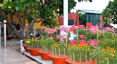 武元甲大将公园一角。（图片来源：越通社）