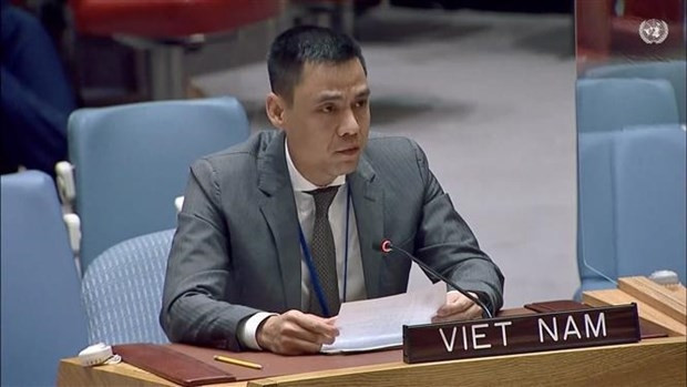 越南常驻联合国代表团团长邓黄江大使。（图片来源：越通社）