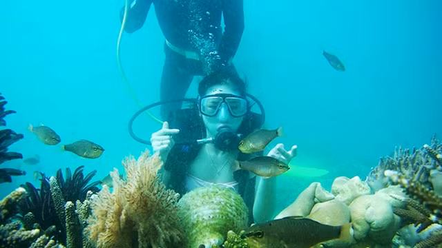 在越南富国岛香岛观赏珊瑚礁。