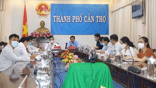 芹苴市人民委员会与芹苴市委领导同韩国SK集团领导就SK集团对芹苴市可再生能源领域的投资商机举行视频座谈会。