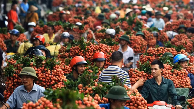 附图。