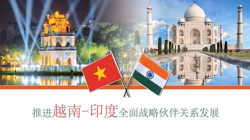 推进越印全面战略伙伴关系发展【图表新闻】