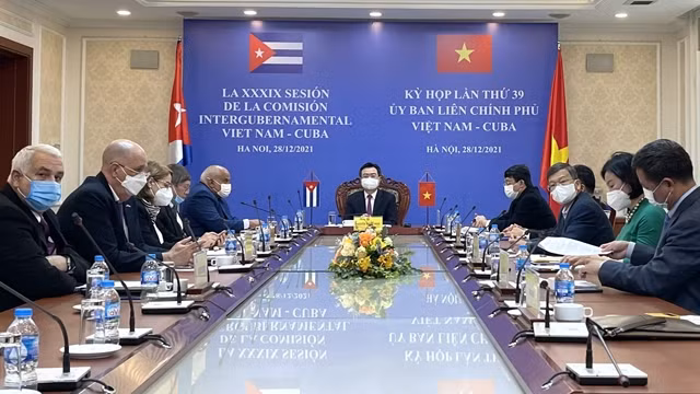 越南建设部部长、越南—古巴政府间联合委员会越方主席阮青毅共同主持会议。