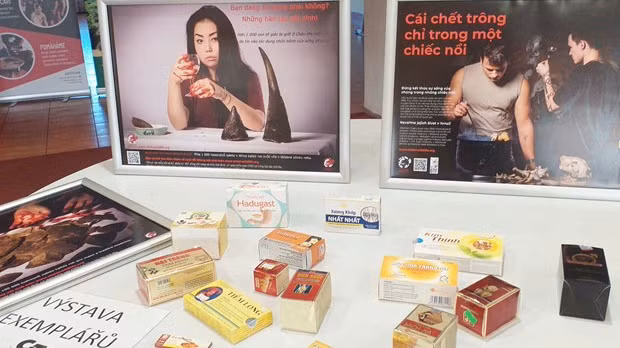 捷克海关在研讨会上就一些药物的原产地作出警告。