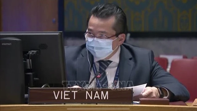 越南驻联合国代表团副团长范海英大使。（图片来源：越通社）