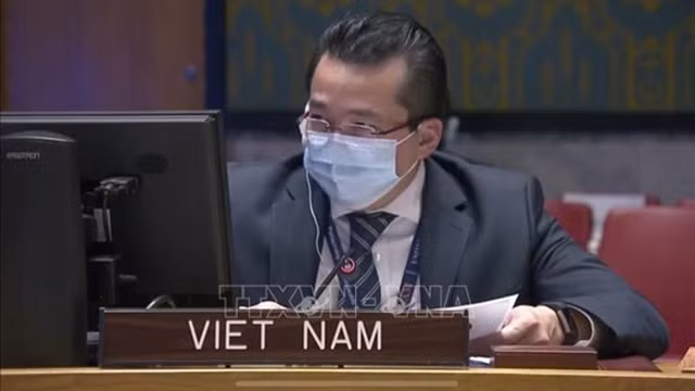 越南驻联合国代表团副团长范海英大使。（图片来源：越通社）