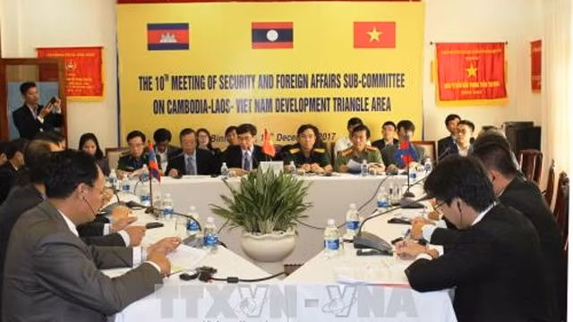 柬老越发展三角区环境与社会小组第八次会议全景。（图片来源：越通社）