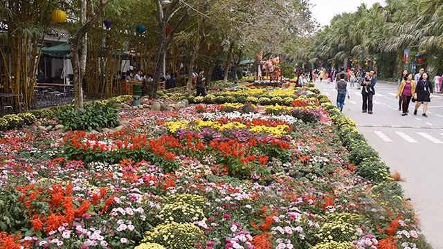 五颜六色的花街。 （维玲 摄）