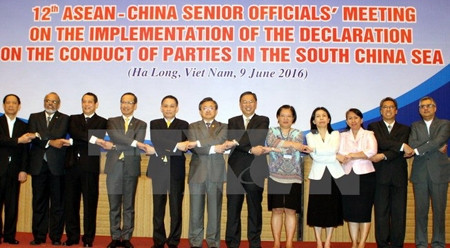 各国代表合影留念。（图片来源：越通社）