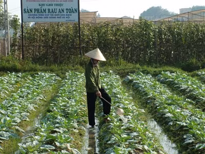 附图：安全蔬菜生产。
