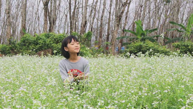 游客前来参观和拍照。