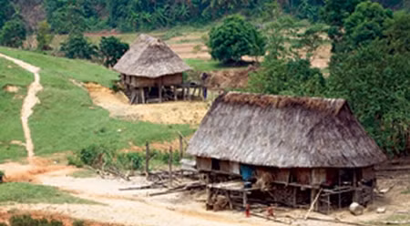 布鲁云乔族人的传统高脚屋。